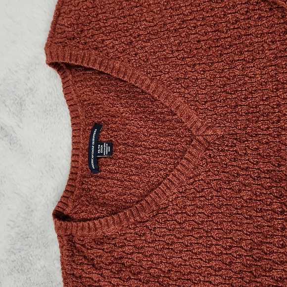 American Eagle Outfitters rust colored v neck sweater size XS - Picture 12 of 12